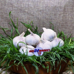 Овощи Чеснок