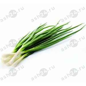 Зелень Лук (перо)