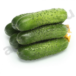 Овощи Огурцы