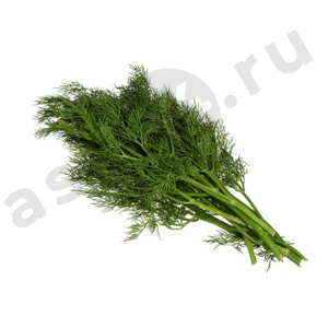 Зелень Укроп