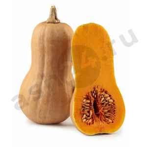 Овощи Тыква