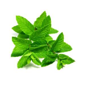 Зелень Мята