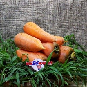Овощи Морковь